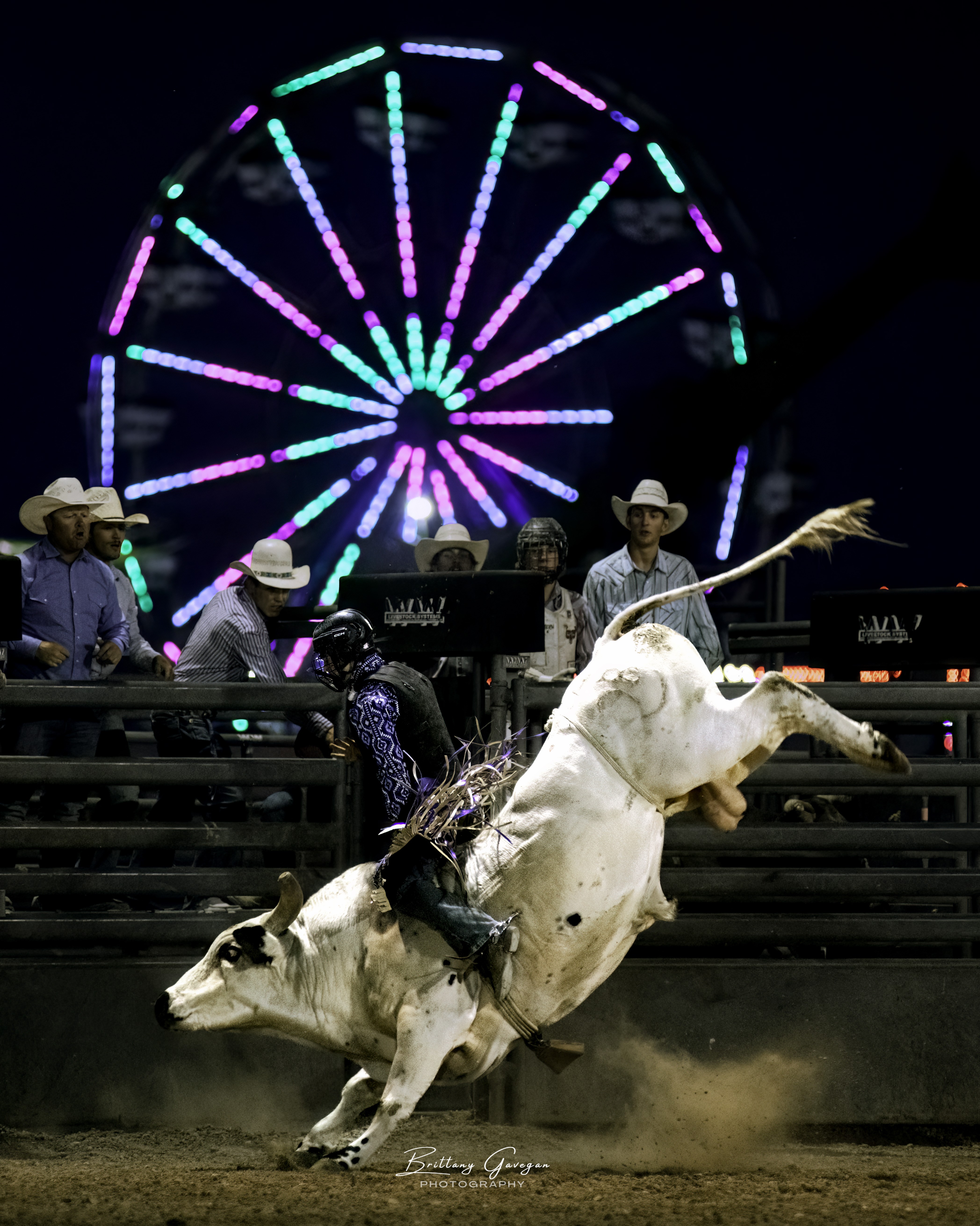 Bull Wars and Buck-It Rodeo Events